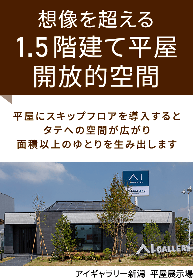 想像を超える1.5階建て平屋開放的空間 平屋にスキップフロアを導入するとタテへの空間が広がり面積以上のゆとりを生み出します アイギャラリー新潟  平屋展示場